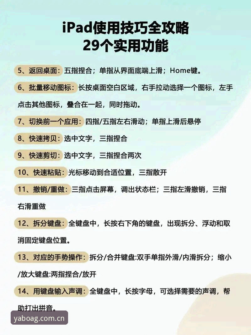 如何高效掌握亚博娱乐平台入口使用指南？这份操作手册值得收藏